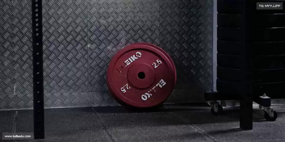 行业领先的理由